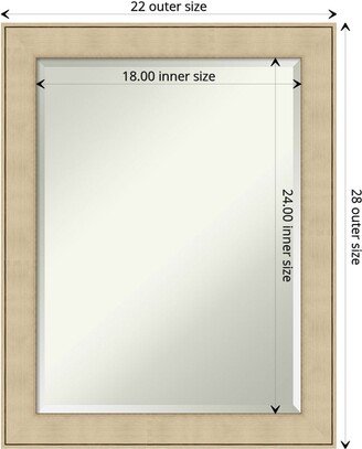 Beveled Bathroom Wall Mirror - Classic Honey Silver Frame - Classic Honey Silver