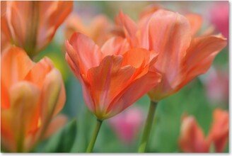 Cora Niele 'Tulip Flower Orange Wings' Canvas Art - 47 x 30 x 2