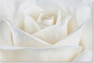 Cora Niele 'Pure White Rose' Canvas Art - 47 x 30 x 2