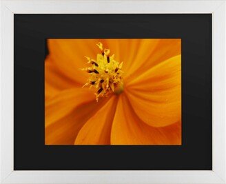 Kurt Shaffer Orange Flower Matted Framed Art - 20 x 25