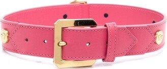 Studded Leather Pet Collar