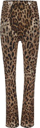 High-Waist Leopard-Printed Pants-AA