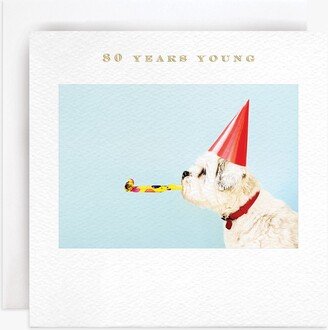 Susan O'Hanlon Party Dog 80th Birthday Card