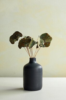 Preserved Sponge Mushroom Stem Bunch