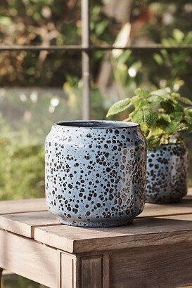 Terrain,6 needs inches mark in display name Spotty Ceramic Planter, 6