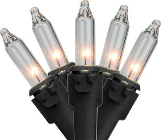 Northlight Set of 50 Clear Mini Christmas Lights 2.5 Spacing - Black Wire