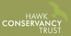 Hawk Conservancy Trust Promo Codes & Coupons