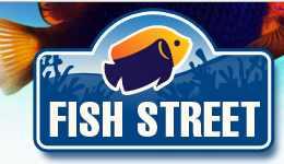 Fish Street Promo Codes & Coupons