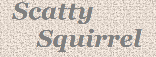 Scatty Squirrel Promo Codes & Coupons