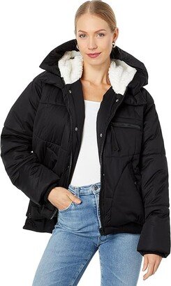 Cropped City Puffer Coat (Black) Women's Clothing