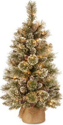 3ft National Tree Company Glittery Bristle Pine Artificial Tree with 7 White Tipped Cones & 35 Warm White Battery Operated LED Lights w/ Timer
