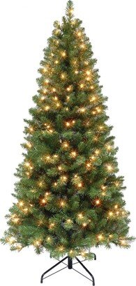 Puleo 6' Pre-Lit Virginia Pine Tree with 250 Underwriters Laboratories Clear Incandescent Lights, 659 Tips