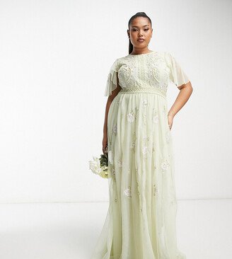 Curve Bridesmaid pearl embellished flutter sleeve maxi dress with floral embroidery in sage