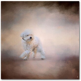 Jai Johnson 'Bichon On The Go' Canvas Art - 18 x 18 x 2