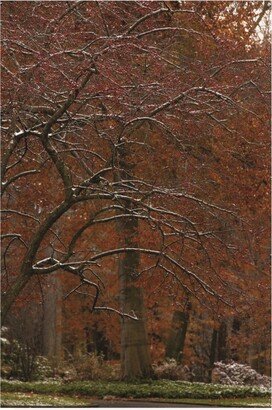 Kurt Shaffer Photographs Overlapping Seasons Canvas Art - 27 x 33.5