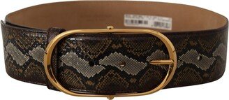 Brown Python Leather Gold Oval Buckle Women's Belt