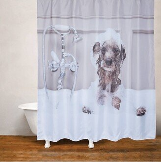 Dog Bath Shower Curtain White