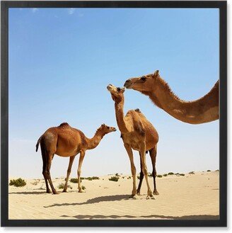 Photo Tiles: Trio Of Camels In Desert Photo Tile, Black, Framed, 8X8, Brown