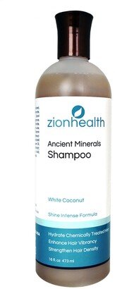 Zion Health White Coconut Shampoo, 16 oz