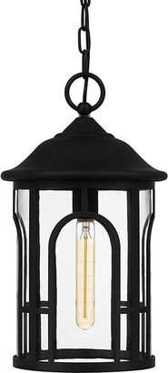 Brampton Outdoor Pendant Light