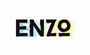 Enzo Promo Codes & Coupons