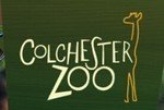 Colchester Zoo Promo Codes & Coupons