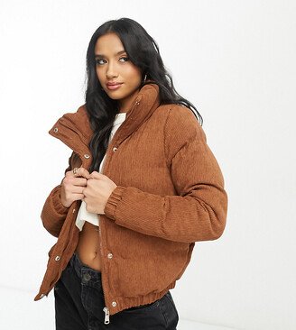 Brave Soul Petite slay cord puffer jacket in tan