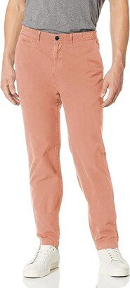 Men's Standard Fit Tapered Chino Pant (Terracotta Pima Cotton) Men's Clothing