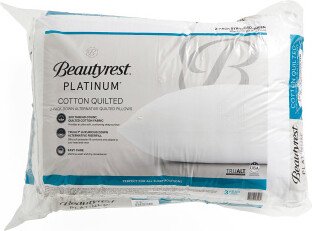 TJMAXX 20X28 2Pk Down Alternative Cotton Quilted Pillows