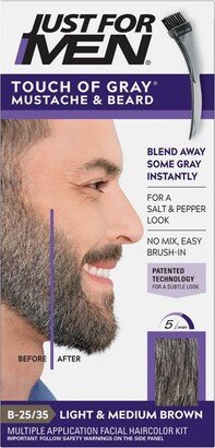 Touch of Gray Mustache & Beard Color - Light & Med Brown