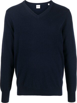 V-neck cashmere jumper-BG