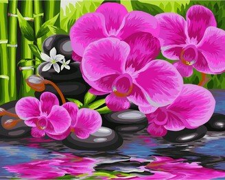 Painting by Numbers Kit Crafting Spark Orchid B081 19.69 x 15.75 in