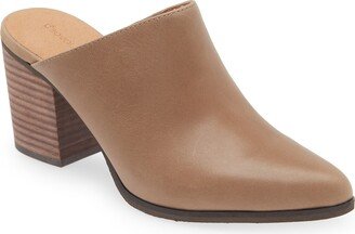 Emery Pointed Toe Mule