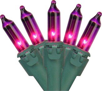 Northlight Set of 50 Purple Mini Christmas Lights 2.5 Spacing - Green Wire