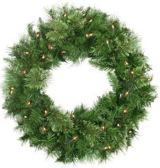 Northlight Pre-Lit Mixed Cashmere Pine Artificial Christmas Wreath Clear Lights