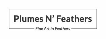 PlumesNFeathers Promo Codes & Coupons