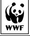 WWF Promo Codes & Coupons