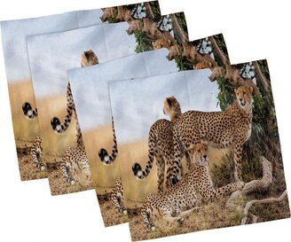 Africa Set of 4 Napkins, 12 x 12