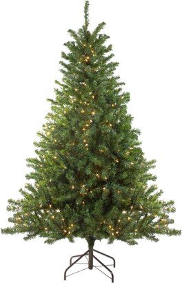 Northlight 10' Pre-Lit Canadian Pine Artificial Christmas Tree - Clear Lights