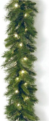 National Tree Company Pre-Lit Artificial Christmas Garland, Green, Winchester Pine, White Lights, Plug In, Christmas Collection, 9 Feet