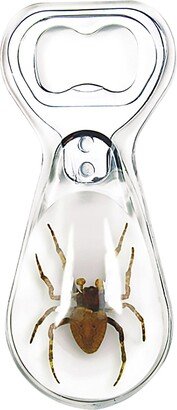 Spider Bottle Opener x0.8 In