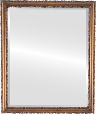 OVALCREST by The OVALCREST Mirror Store Virginia Framed Rectangle Mirror in Sunset Gold