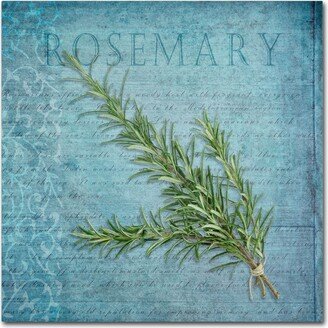 Cora Niele 'Classic Herbs Rosemary' Canvas Art - 14 x 14 x 2