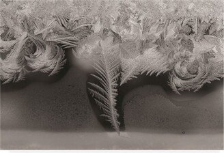 Kurt Shaffer Photographs Natures art, ice crystals on my window Canvas Art - 36.5 x 48