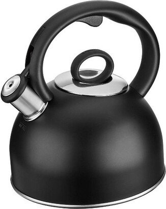 2qt Stovetop Steam & Soothe Teakettle - Black - CKS-22MB