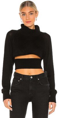 Winston Cropped Turtleneck Sweater