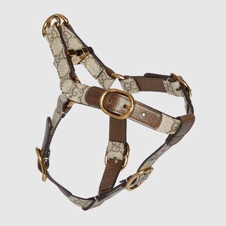 Small/medium pet harness-AA