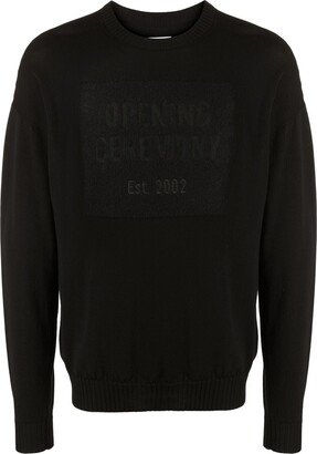 Box-Logo Crew-Neck Jumper