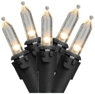 Northlight Set of 50 Warm White Led Mini Christmas Lights 4 Spacing - Black Wire