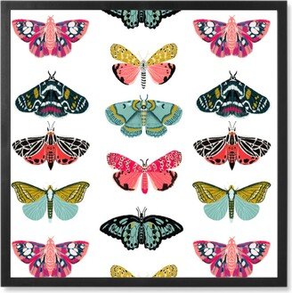 Photo Tiles: Moths And Butterflies Spring Garden - Light Photo Tile, Black, Framed, 8X8, Multicolor